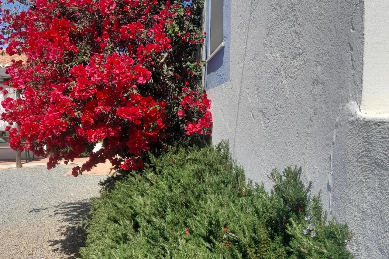 Monte da Lagoa